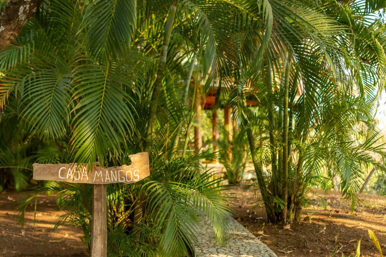 Calamocha Lodge Playa Santa Teresa  Bagian luar foto